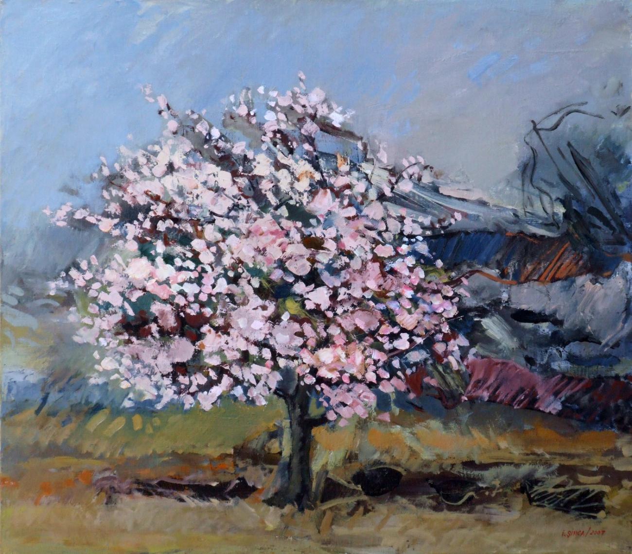 Pom înflorit roz, singur pe un teren ocru, cu un gard și un cer albastru-cenușiu.
