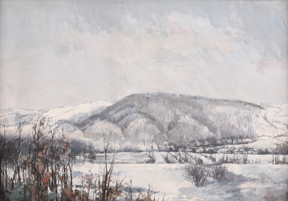 Câmp înzăpezit cu un deal lung împădurit în fund și tufe brune uscate în prim-plan.