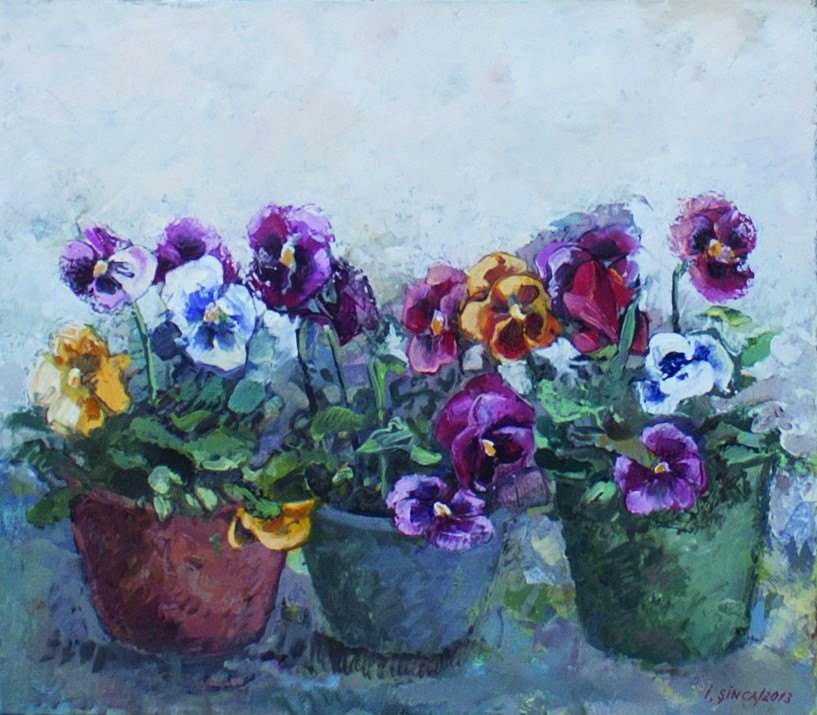 Trei ghivece cu panseluțe violete, galbene și albe, aliniate pe un pervaz.